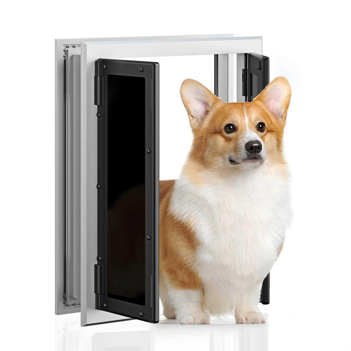 Aluminum Pet Door with Double Panels E534747