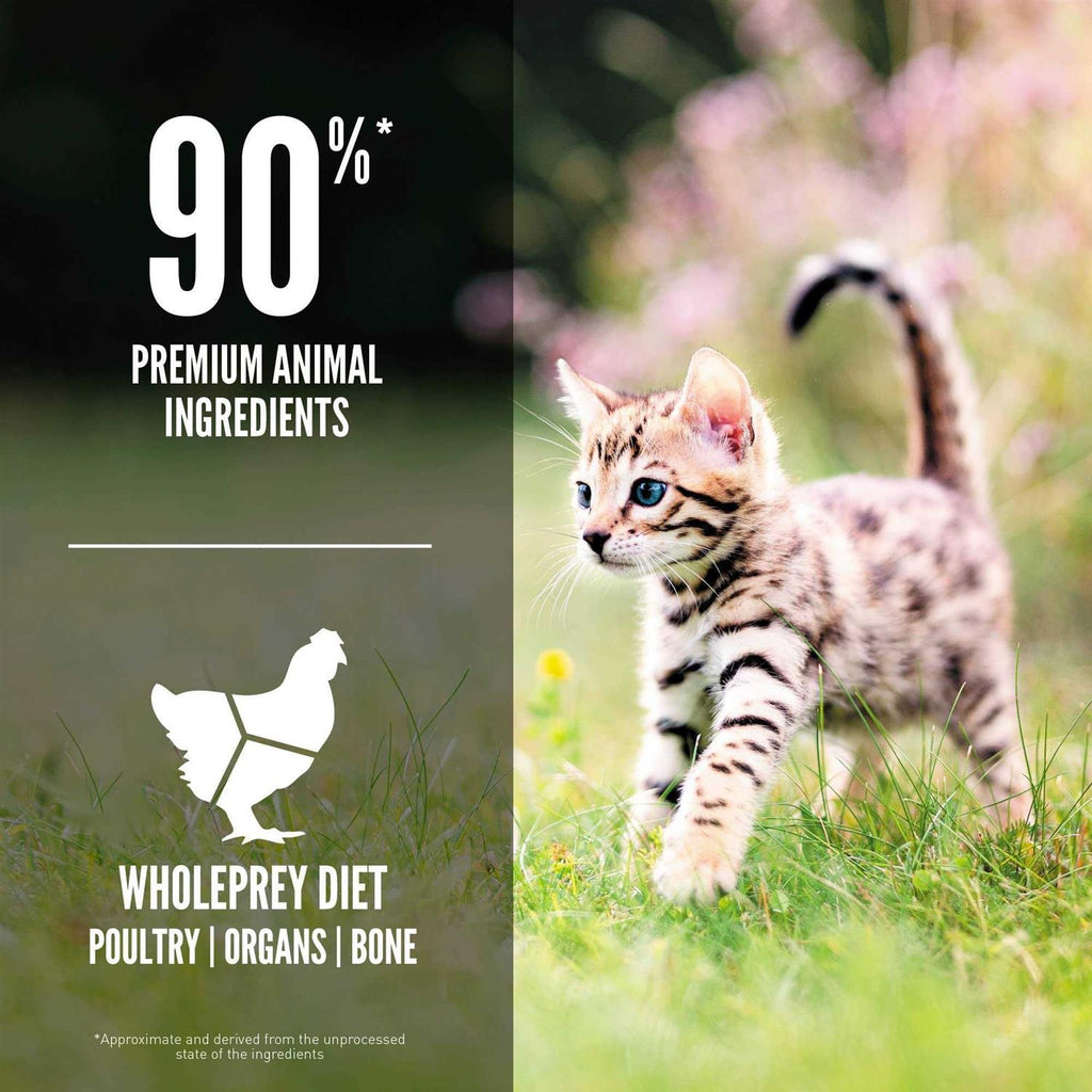 Kitten Dry Cat Food I58452