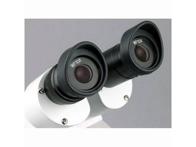 10X-20X-30X-60X Stereo Microscope with 2-Lights and 1.3MP USB Camera A47590