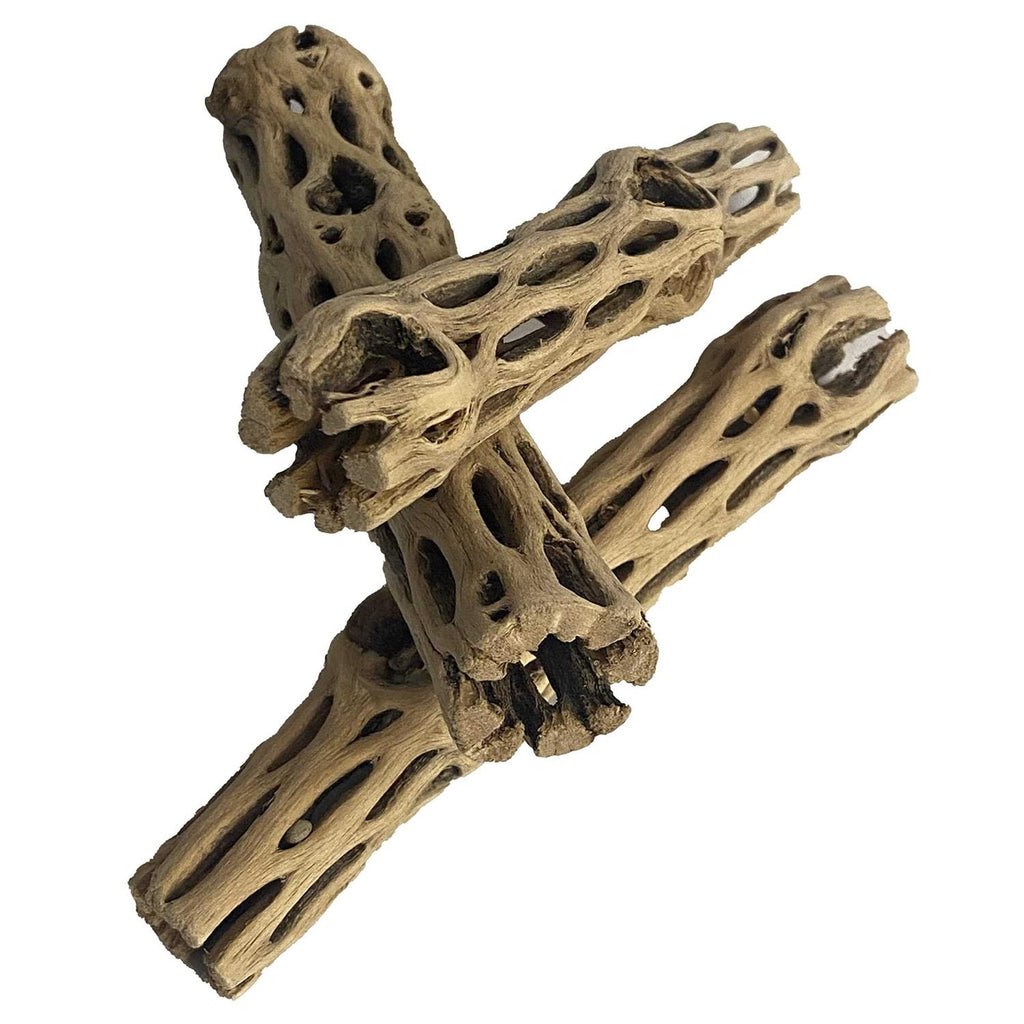 Natural Cholla Wood 3 Pieces Aquarium Decoration E4715