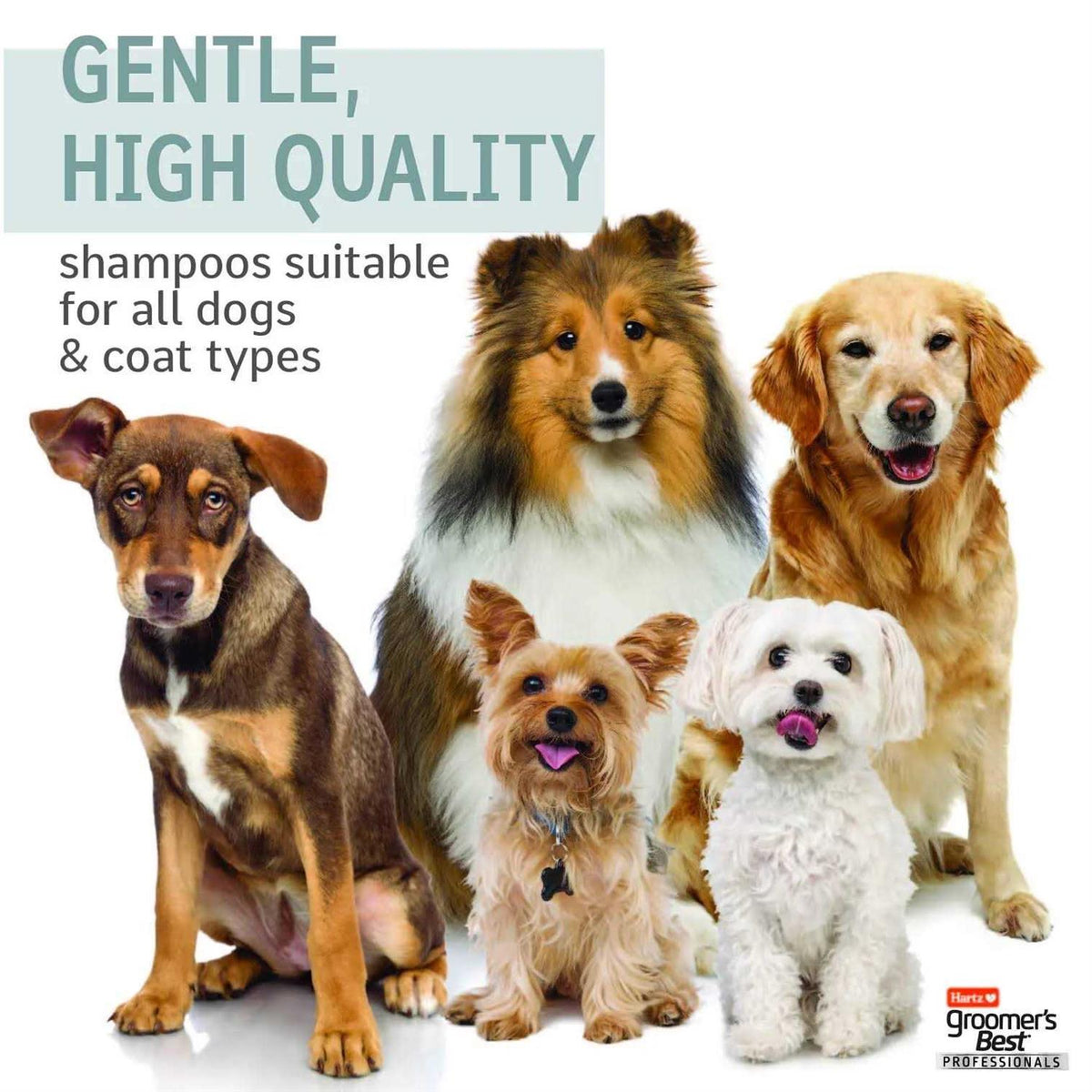 6 in 1 Dog Shampoo U676253