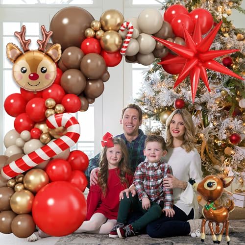 Winter Balloon Arch Kit, Blue Purple Silver Snowflake Balloon Garland F5499