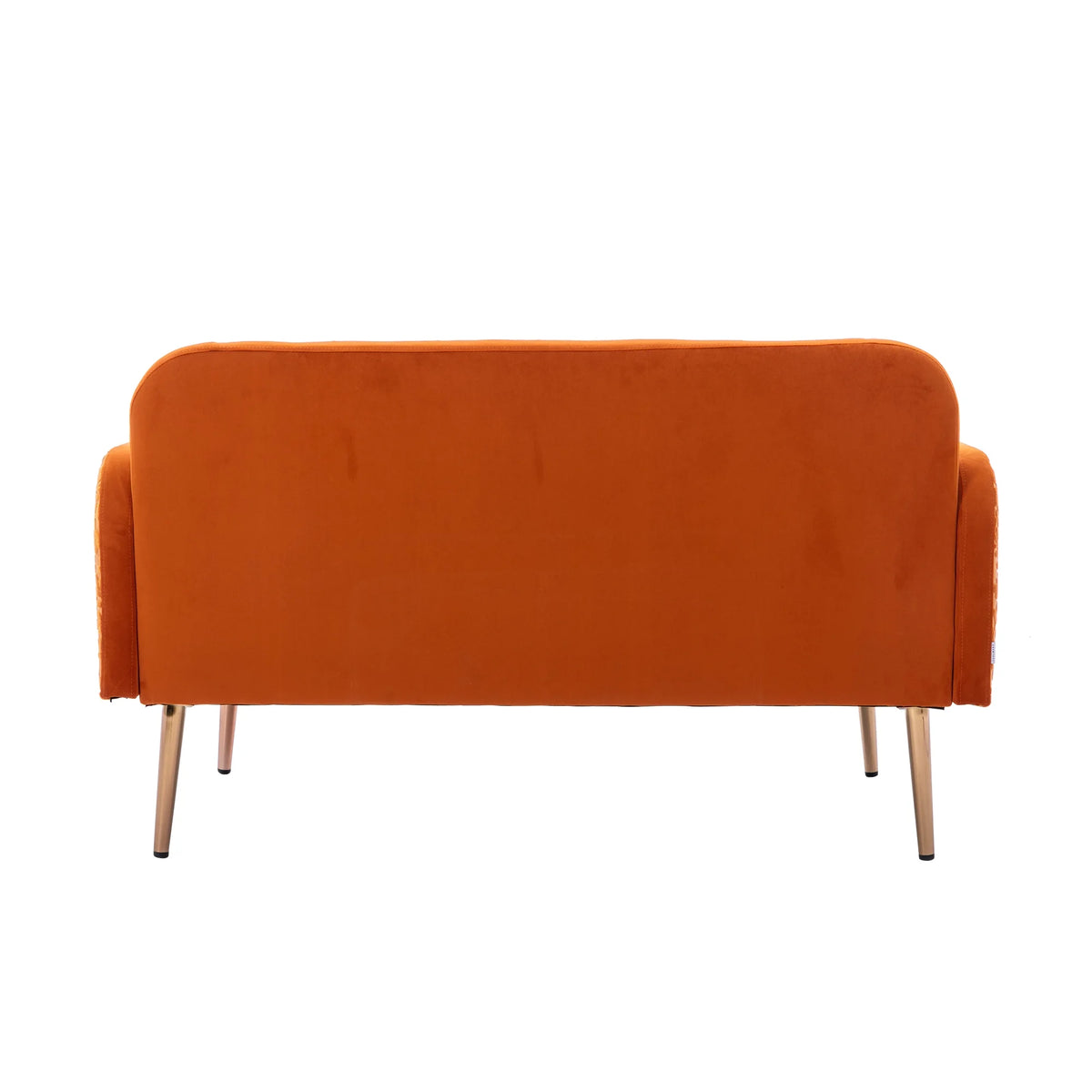 Velvet Accent Loveseat Sofa with Metal Feet M546239