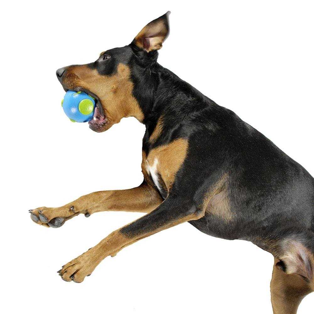 Blue Ball I15129