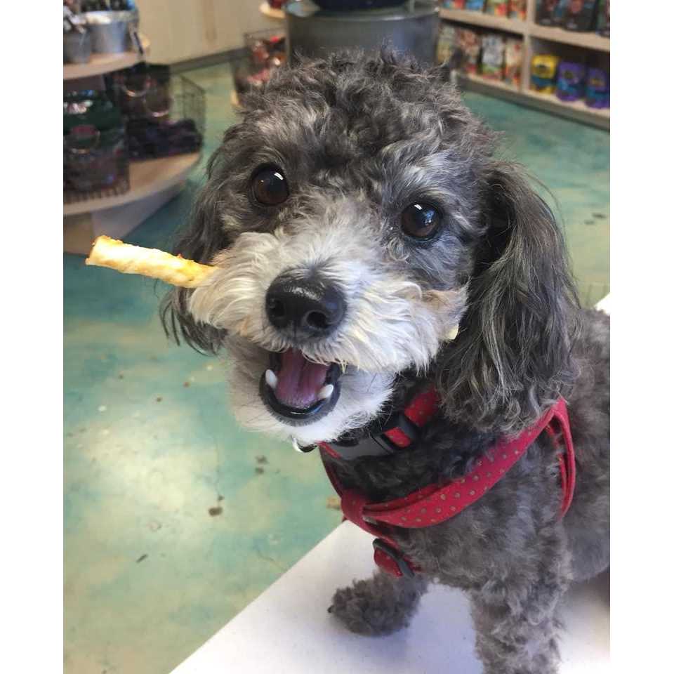 No Hide Beef Stix T42038