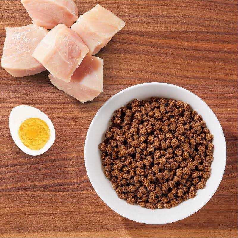 Dry Kitten Food R826624