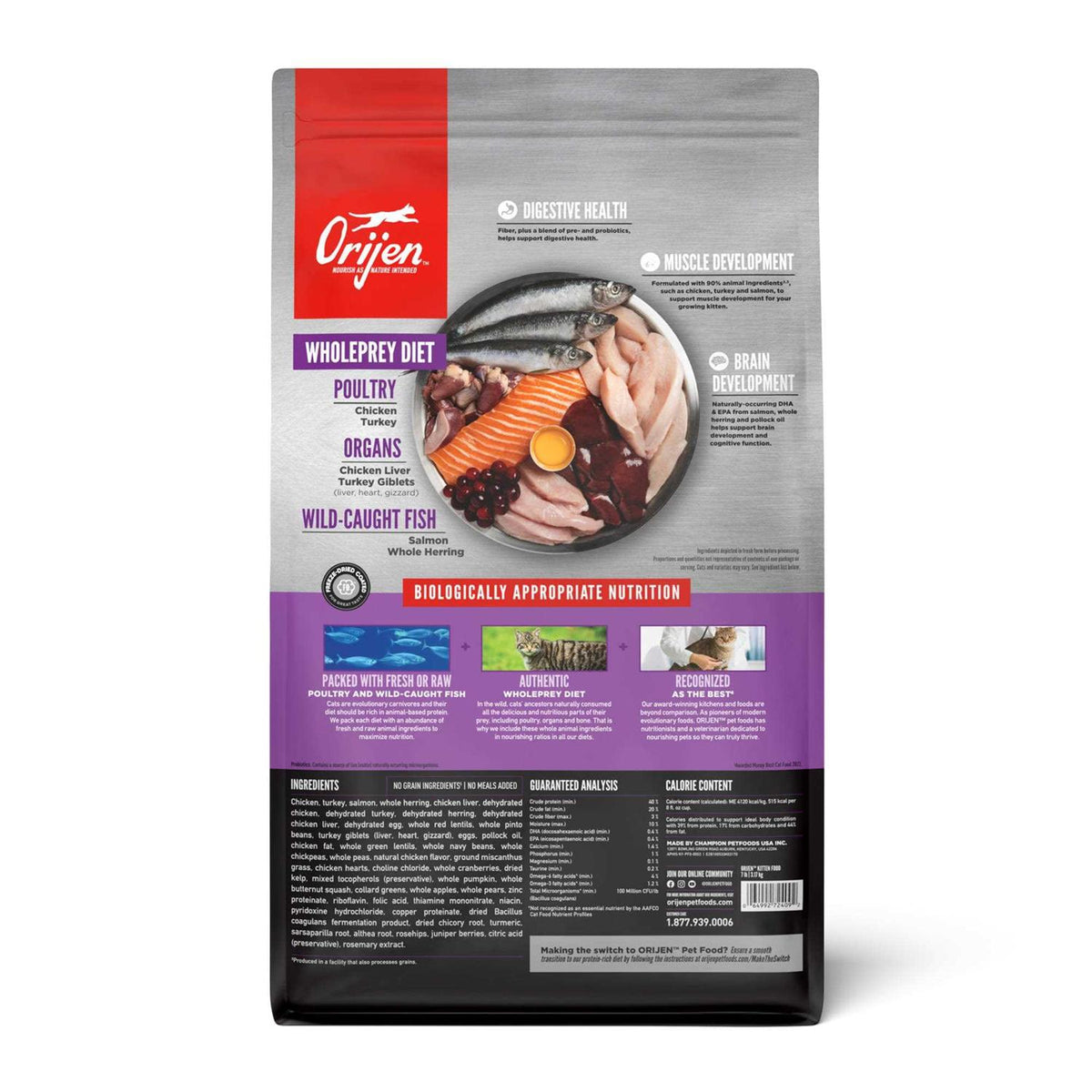 Kitten Dry Cat Food I58452