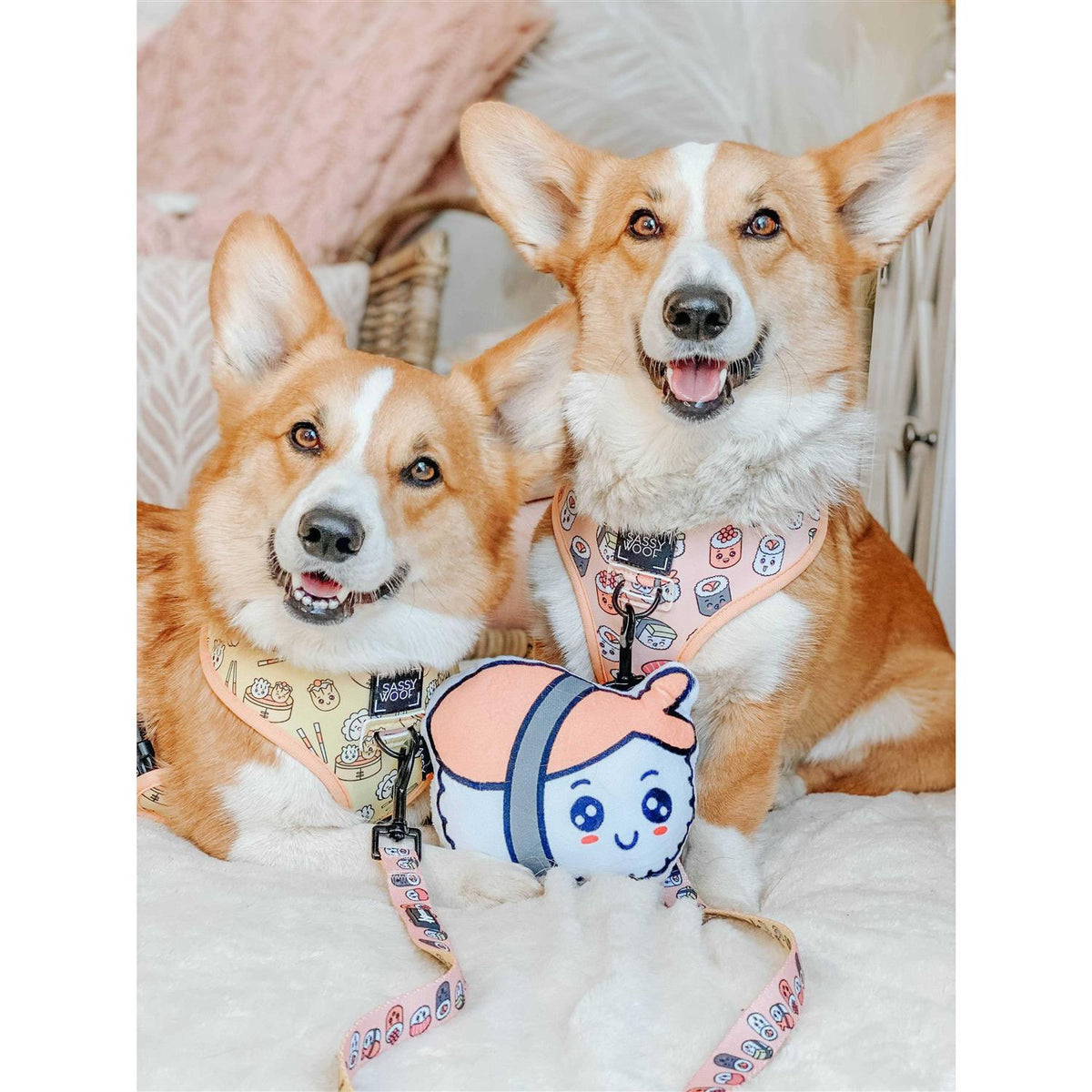 Reversible Dog Harness L4507