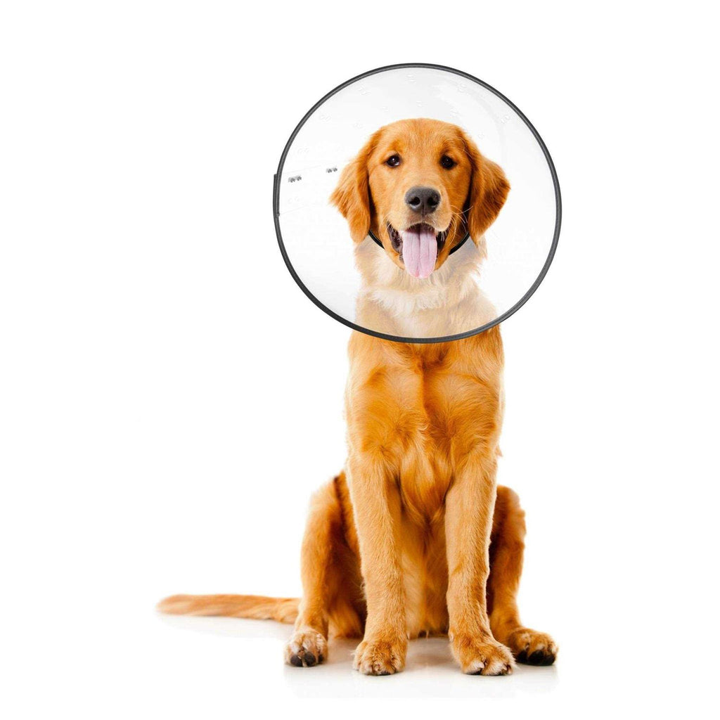 Clear Recovery Collar N83715