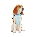 Teal Dog Harness C550