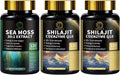 Sea Moss and Shilajit Capsules with Coenzyme Q10, Black Seed, Ashwagandha, Burdock P543