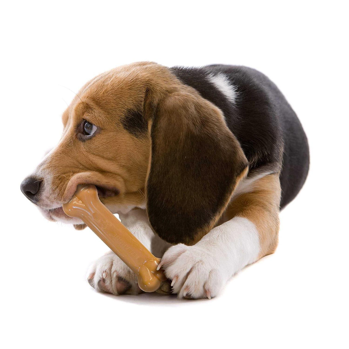 Chew L2556