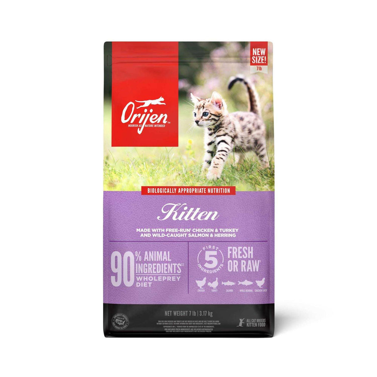 Kitten Dry Cat Food I58452