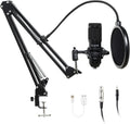 USB Microphone Condenser Cardioid Metal Mic Kit Pack of 2 E563